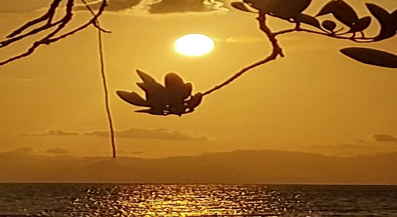 Tranquilidad